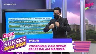 Sukses SPM (2021) | Biologi - Koordinasi dan Gerak Balas Dalam Manusia