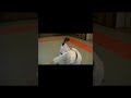 合気道 倉敷合気道会 aikido 021009 shorts