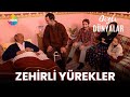 Gizli Dünyalar | Zehirli Yürekler (2023)