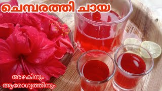 അഴകിനും ആരോഗ്യത്തിനും | Detox Drink| Skin Glow | Karkidakam| Hibiscus Tea| Weightloss Drink|