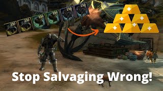 MORE GOLD With My Salvage and Unidentified Gear? Lets Find Out! -  Guild Wars 2