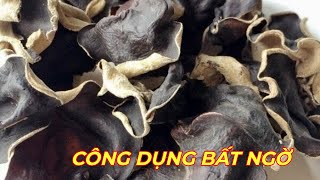 MỘC NHĨ - NHỮNG CÔNG DỤNG CHỮA BỆNH BẤT NGỜ ít người biết không thể bỏ qua