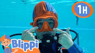 Learn About Scuba Diving! | Blippi - Sports \u0026 Games Cartoons for Kids