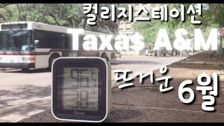 미국시골부부/텍사스/컬리지스테이션/2022년/6월날씨/TAMU캠퍼스/Taxas A\u0026M