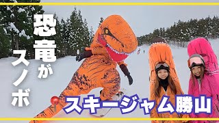 【スキージャム勝山】ナッチューブと恐竜さんになってスノボしてみたら…