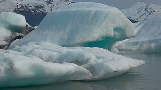 Alaska - Knik Glacier Tour - june 2017