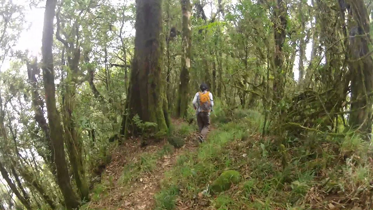 Hiking Mount Batukaru, Tabanan - Bali - YouTube