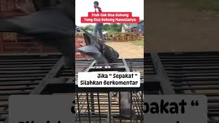 fakta/Tidak