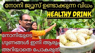 നോനി ജ്യൂസ് ഉണ്ടാക്കുന്ന വിധം//Noni Juice// സർവ്വരോഗ സംഹാരിയായ ഒരു ഔഷധമാണ് നോനി..#Noni #NoniJuice