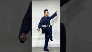 摆脚跌叉总是做不好？一定要认真看完这个视频。Beginner step by step on Tai Chi leg exercise basics.