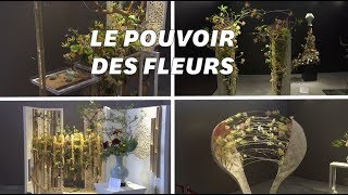 Ces œuvres florales vont vous faire voir les plantes autrement