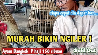 MURAH BIKIN NGILER !!HARGA AYAM BANGKOK P HAJI 150 RIBUAN LANGSUNG SOLD OUT PASAR SUMPIUH BANYUMAS