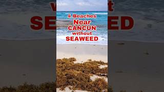 4 beaches near Cancun without seaweed! #sargassum #seaweed #cancun #beach #mexicotravel