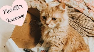 MeowBox Unboxing - Cat Subscription box