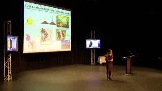 2013 Deakin University - Three Minute Thesis (3MT) - Gayathri Devi Rajmohan