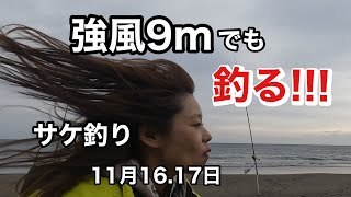 【北海道サケ釣り】11月16.17日2日間の釣行！！プレミアムサーモンって叫び続ける嫁！？