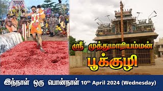 ஸ்ரீமுத்துமாரியம்மன் பூக்குழி | Aruppukottai muthumariamman #aruppukkottai #samayapurammariamman