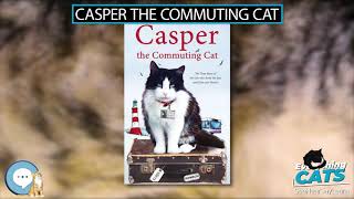 Casper the Commuting Cat 🐱🦁🐯 EVERYTHING CATS 🐯🦁🐱