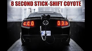 Fastest Stick-Shift Coyote Mustang Run 8s!!!