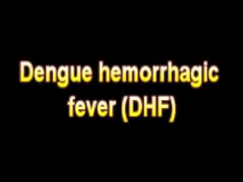 What Is The Definition Of Dengue hemorrhagic fever DHF - Medical Dictionary Free Online What Is The Definition Of Dengue hemorrhagic fever DHF - Medical Dictionary Free Online