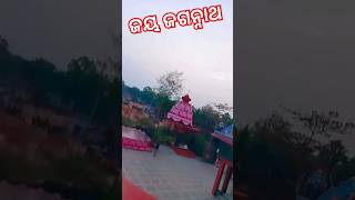 ତୁମେ ଅସୀମ ଅନନ୍ତ ହେ ଜଗନ୍ନାଥ ⭕‼️⭕🙏#biripata Jagannath temple#ytshorts #viral#trending