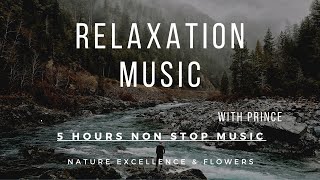 Relaxation Music 5 hours of Back to Nature with Flowers special🌸🌺🌻🌹🌷🌼💐 #hd #quality