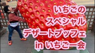 栃木の魅力を伝えよう〜いちごの里 いちご一会〜いちごスイーツ食べ放題🍓　#いちご　#いちご一会　#スイーツ食べ放題