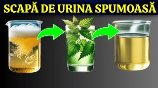 TOP 10 CEAIURI ȘI ALTE BĂUTURI PENTRU TRATAREA RINICHILOR ȘI STOPAREA PROTEINURIEI!