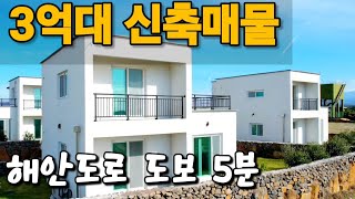 24년12월2일)철근.콘크리트 3억대 / 막힘없는 개별등기 신축단독주택 11