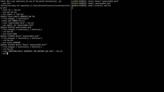 Recover lost work with Git's reflog command