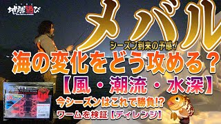 【初めてのメバル（応用編）】強風の中、コロコロ変わる海の変化を探しながらの釣行【地球遊び 207】