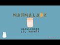 Marmalade - Macklemore ft. Lil Yachty (lyrics) in the post description below #ZiegD'cat