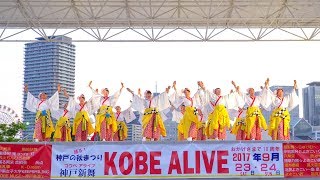 [4K]憂喜世桜　神戸アライブ大賞演舞（ファミリー部門） KOBE ALIVE2017 メリケンAnnversary Stage