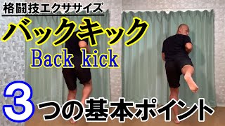 バックキック（Back kick）のやり方！3つのポイント【格闘技エクササイズ動作解説】