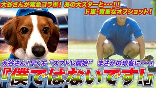 大谷さんが緊急コラボ！あの大スターと・・！！ 早くも“スプトレ”始動！まさかの珍客乱入！？『僕ではないです・・・。』