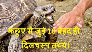 कछुए के जीवन से जुड़े 10 बेहद ही दिलचस्प तथ्य। Interesting facts about turtles in hindi