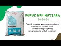 Manfaat Pupuk NPK Mutiara 16-16-16 Yang Harus Kamu Tahu Agar Hasil Panen Maksimal !