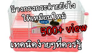 ล้างกรงกระต่ายให้ดูสะอาดเหมือนใหม่(ด้วยวิธีนี้ได้ผล100%)|KeawMaRoonCH