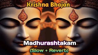 Adharam Madhuram (Slow + Reverb) | Krishna Bhajan | Bhakti Song | Bhajan Song | Madhurashtakam