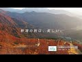 八海山ロープウェーの紅葉営業は2022年11月6日 日 まで！