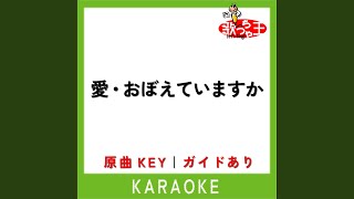 愛・おぼえていますか (カラオケ) (原曲歌手:飯島真理)