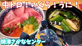 【焼津さかなセンター】海鮮丼を求めて！おさんぽツーリング【CBR1000RR SC57後期 逆車】バイク女子