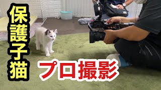 番組取材で保護子猫と愛犬の立派な姿に心ふるえました