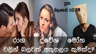 රාග ද්වේශ මෝහ වලින් බලවත් අකුසලය කුමක්ද? | Ven Balangoda Radha Thero | Sadaham panivida