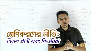 03.1. শ্রেণিকরণের নীতি: ছিদ্রাল প্রাণী এবং নিডেরিয়া | OnnoRokom Pathshala