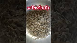 กุ้งฝอย#เลือกกุ้ง#ก้อยกุ้ง#กุ้งเต้น#กุ้งสด#ป่นกุ้ง