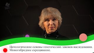 Цитологические основы генетических законов наследования. Моногибридное скрещивание. 9 класс.