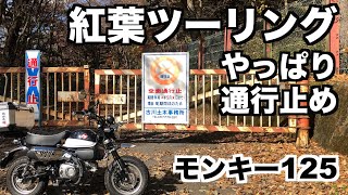 モンキー125 紅葉ツーリング 　やっぱり「 峠は通行止めで迂回路なし！」なので、リラックスモードで新穂高〜高山に行ってきました。