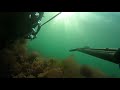 spearfishing north wales 2019 top catches