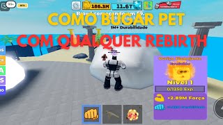 COMO BUGAR PET COM QUALQUER REBIRTH NO MUSCLE LEGENDS - ROBLOX